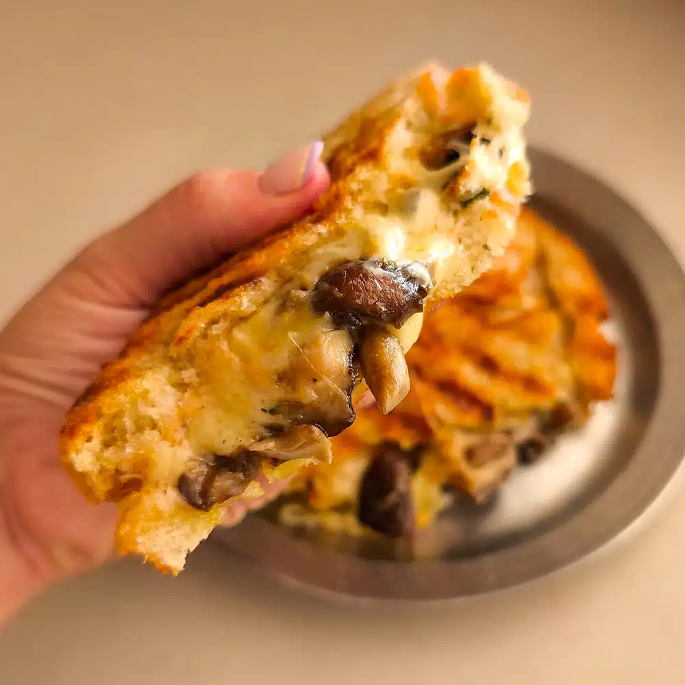 Mushroom Melt setas comte